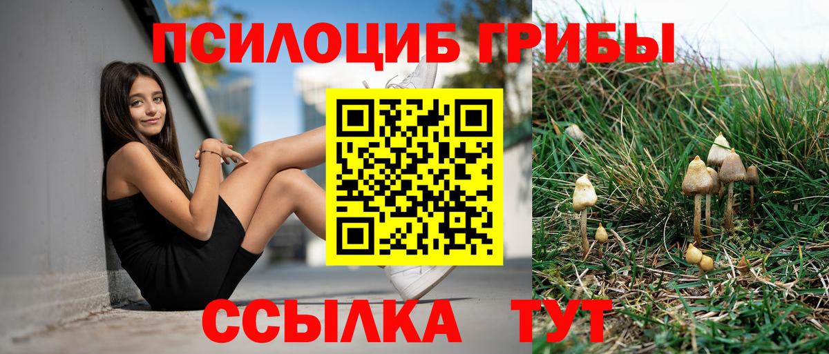 Псилоцибиновые грибы прущие грибы  Галлюциногенные грибы GOLDEN TEACHER  Вход с VPN  Еманжелинск 